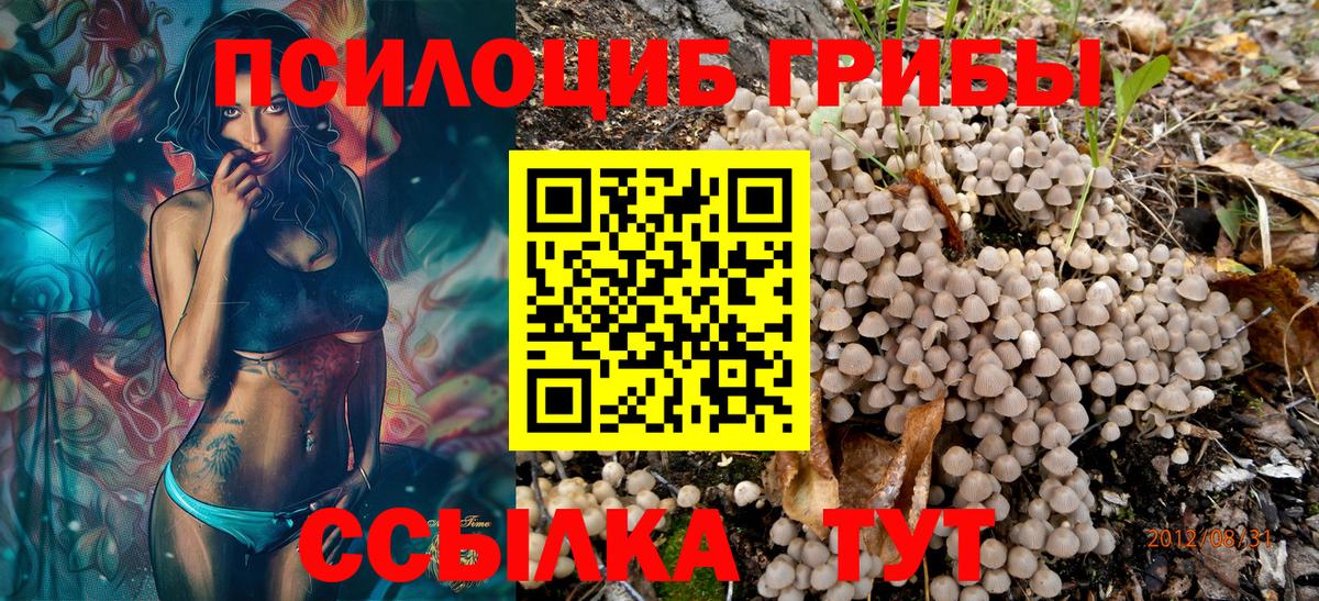 Псилоцибиновые грибы Psilocybe Анапа